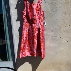 INVENTORY LIQUIDATION! New Adrianna Papell Rose Pink Dress Size 6 Retail $169